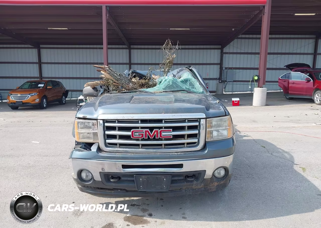 2009 GMC Sierra 1500 Work Truck VIN:1GTEC19X19Z276702 - 11
