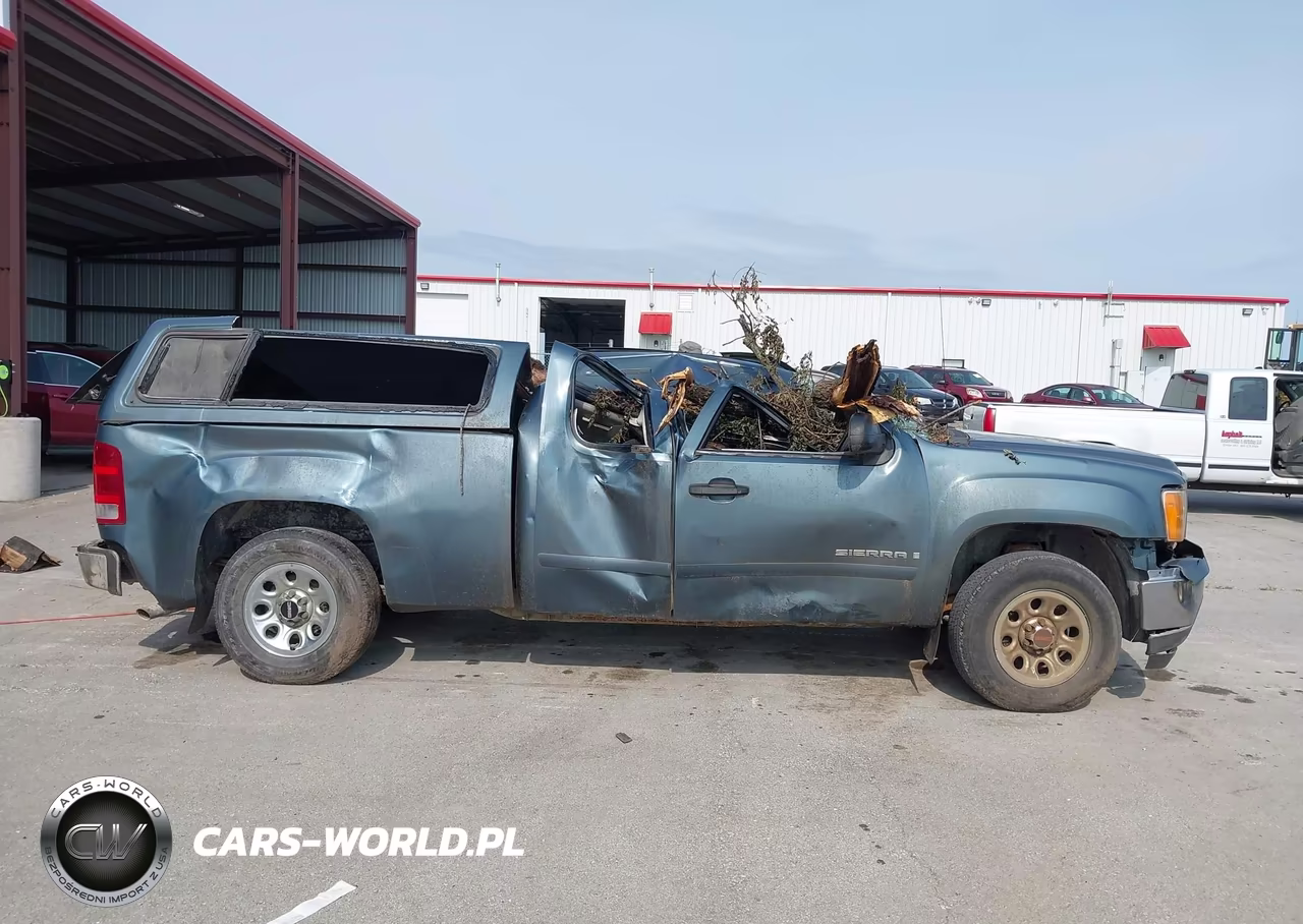2009 GMC Sierra 1500 Work Truck VIN:1GTEC19X19Z276702 - 12