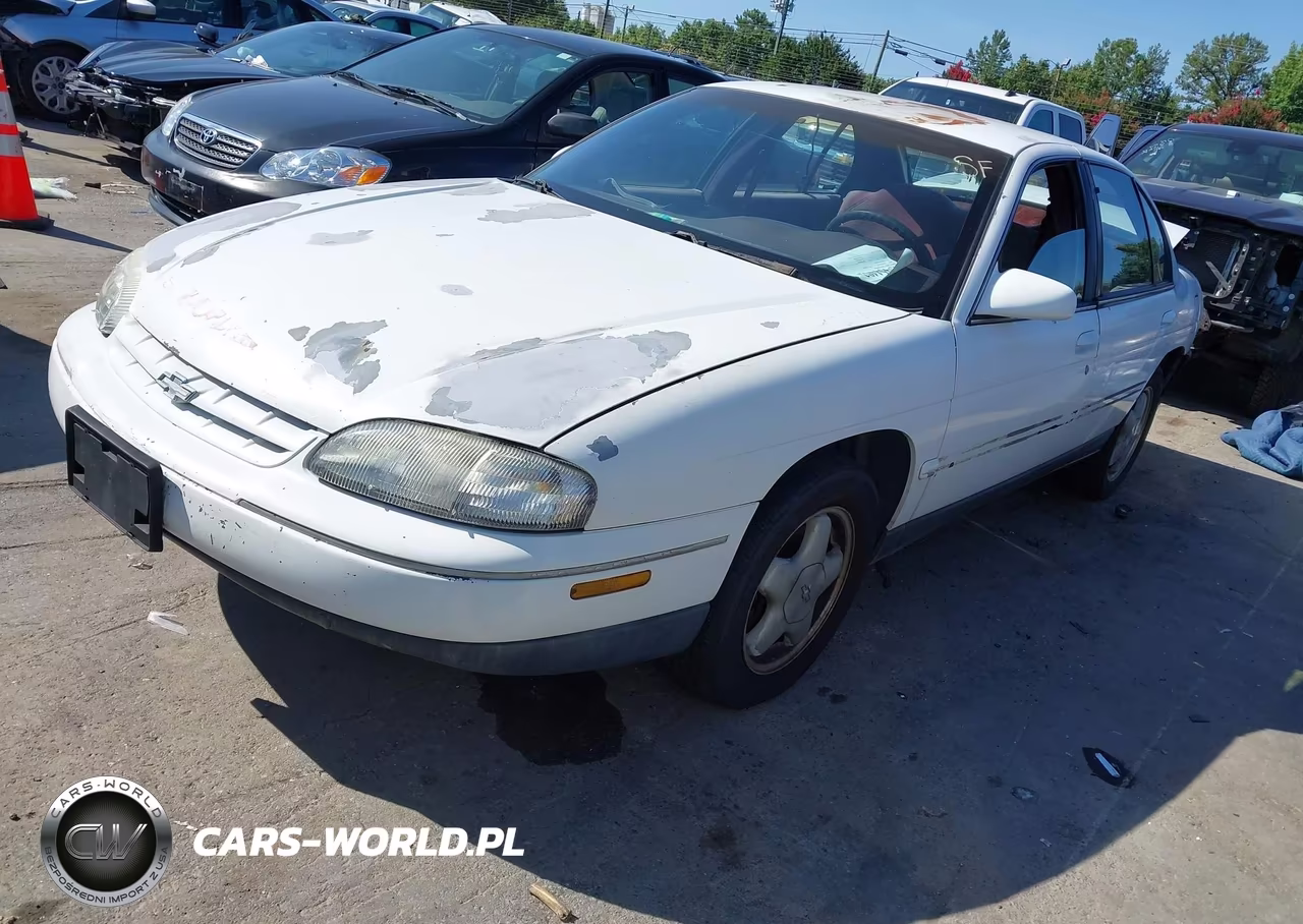 1995 Chevrolet Lumina Ls VIN:2G1WN52MXS9205089 - 2