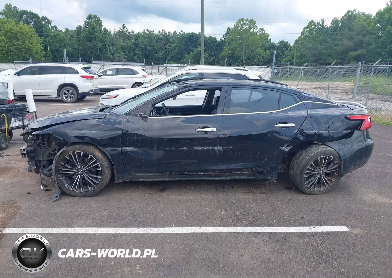 2016 Nissan Maxima 3.5 Platinum VIN:1N4AA6AP4GC426076 - 15