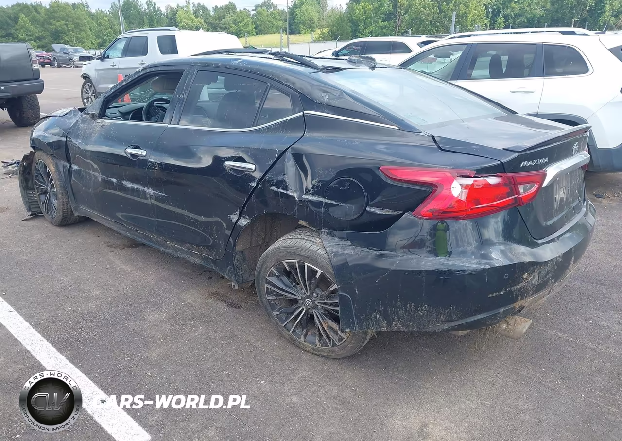 2016 Nissan Maxima 3.5 Platinum VIN:1N4AA6AP4GC426076 - 3