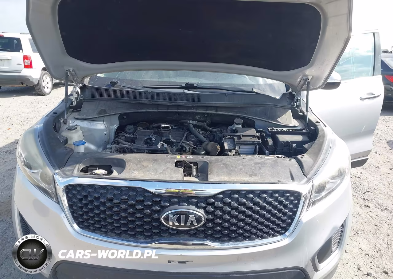 2017 Kia Sorento Lx V6 VIN:5XYPGDA54HG231565 - 10