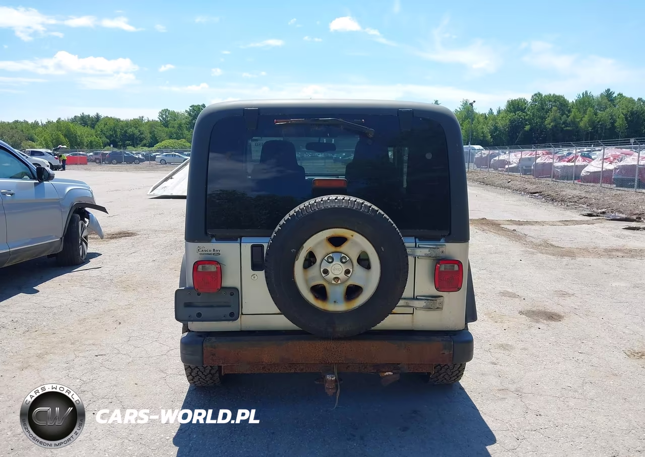 2003 Jeep Wrangler Sport VIN:1J4FA49S23P339769 - 16