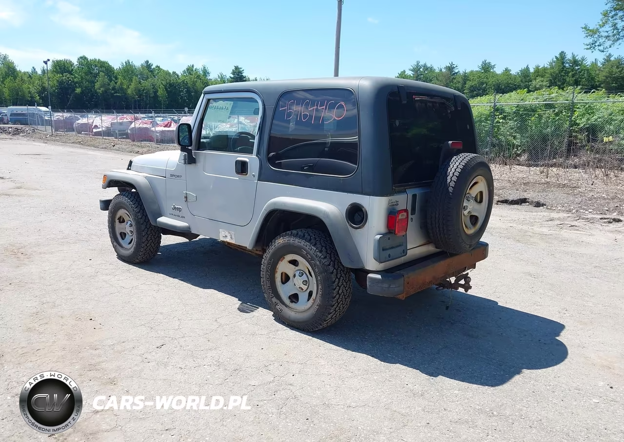 2003 Jeep Wrangler Sport VIN:1J4FA49S23P339769 - 3