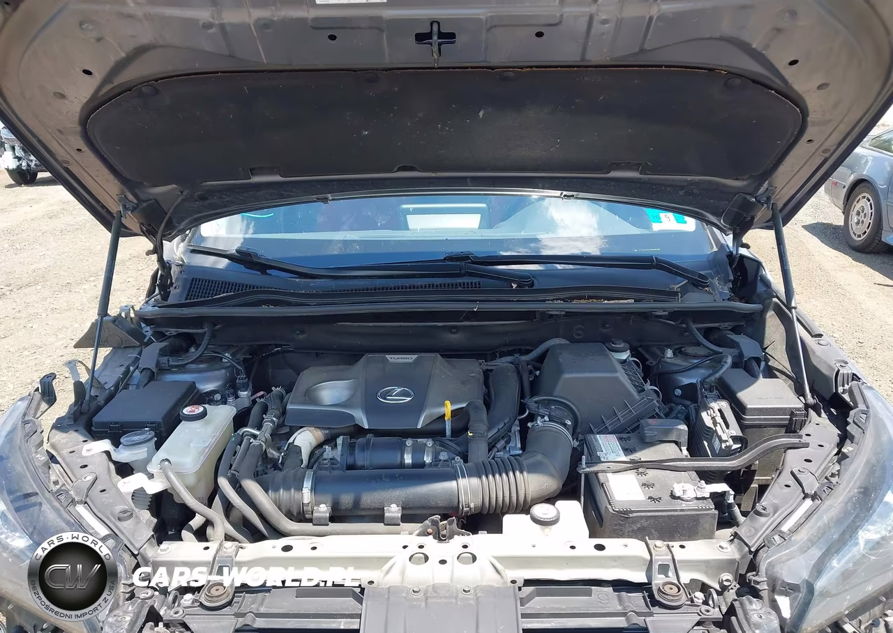 2021 Lexus Nx 300 VIN:JTJDARDZ9M2237279 - 10