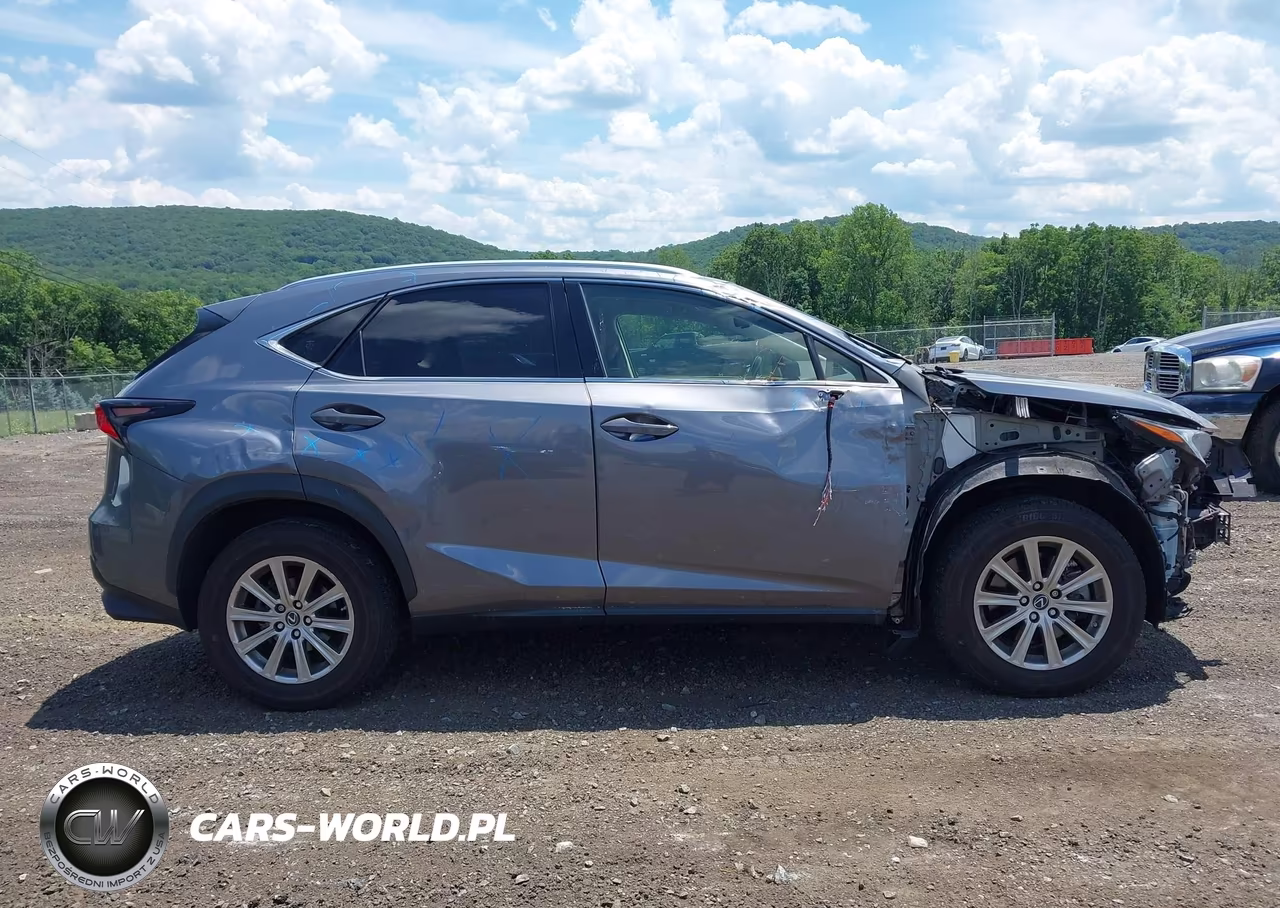 2021 Lexus Nx 300 VIN:JTJDARDZ9M2237279 - 13