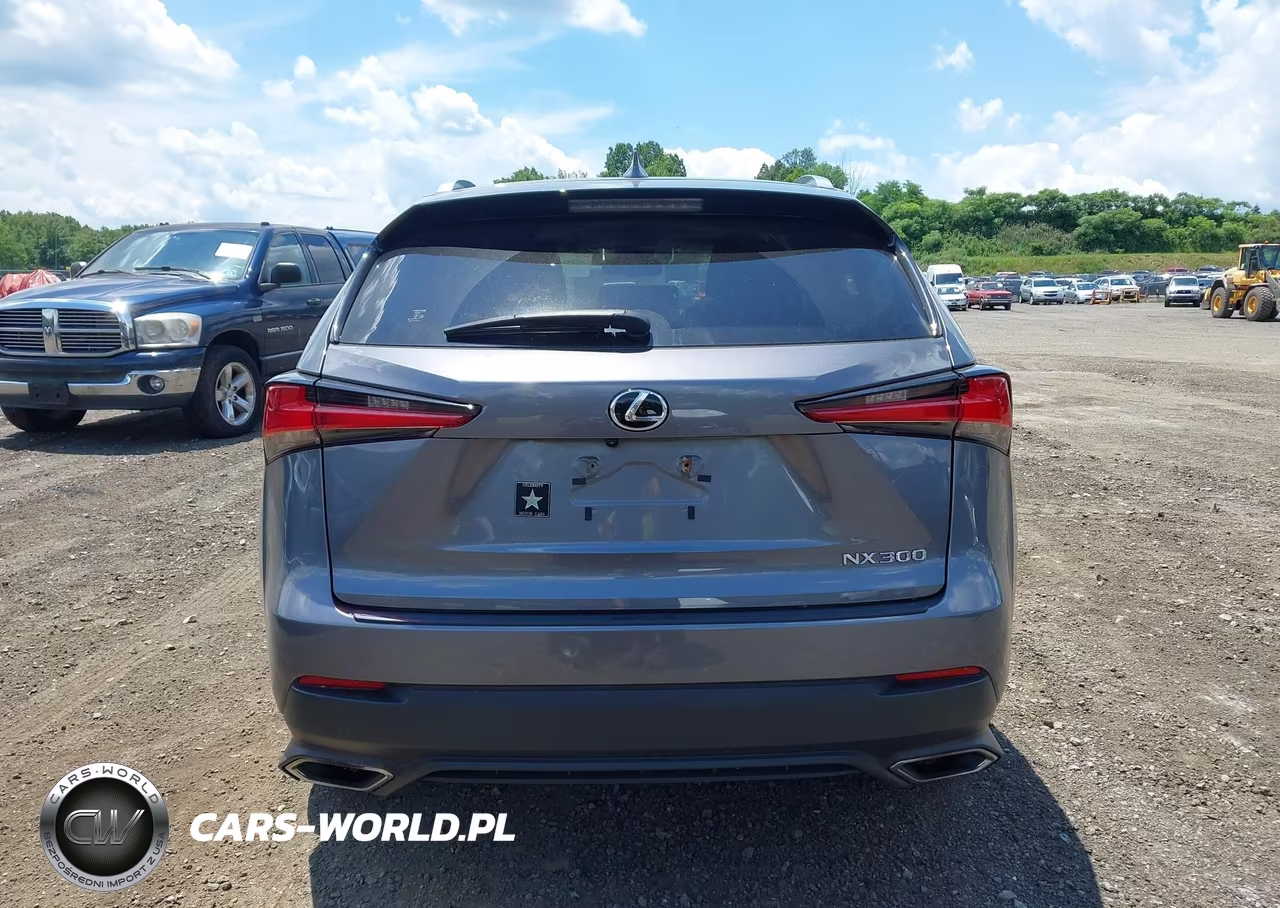 2021 Lexus Nx 300 VIN:JTJDARDZ9M2237279 - 16
