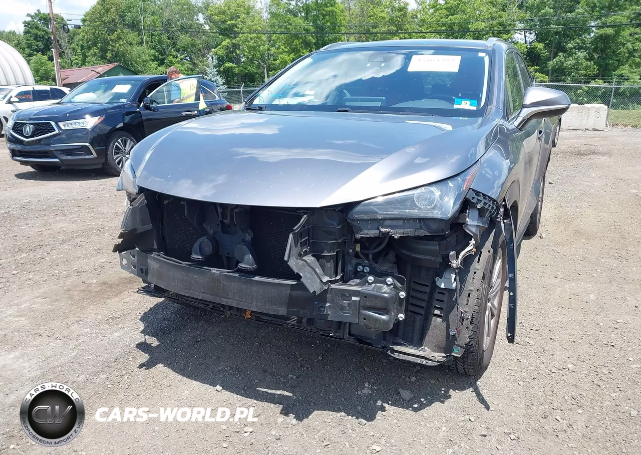 2021 Lexus Nx 300 VIN:JTJDARDZ9M2237279 - 17