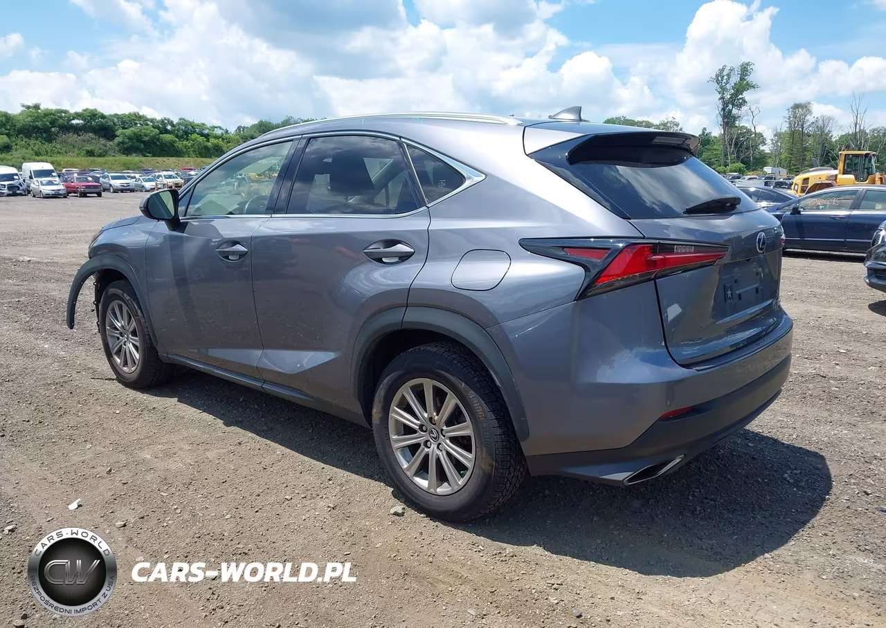 2021 Lexus Nx 300 VIN:JTJDARDZ9M2237279 - 3