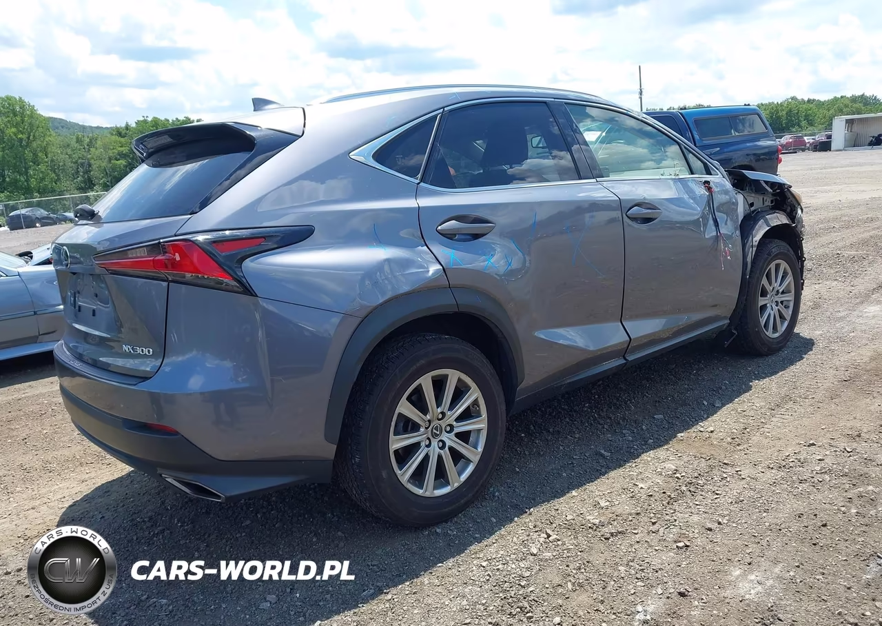 2021 Lexus Nx 300 VIN:JTJDARDZ9M2237279 - 4