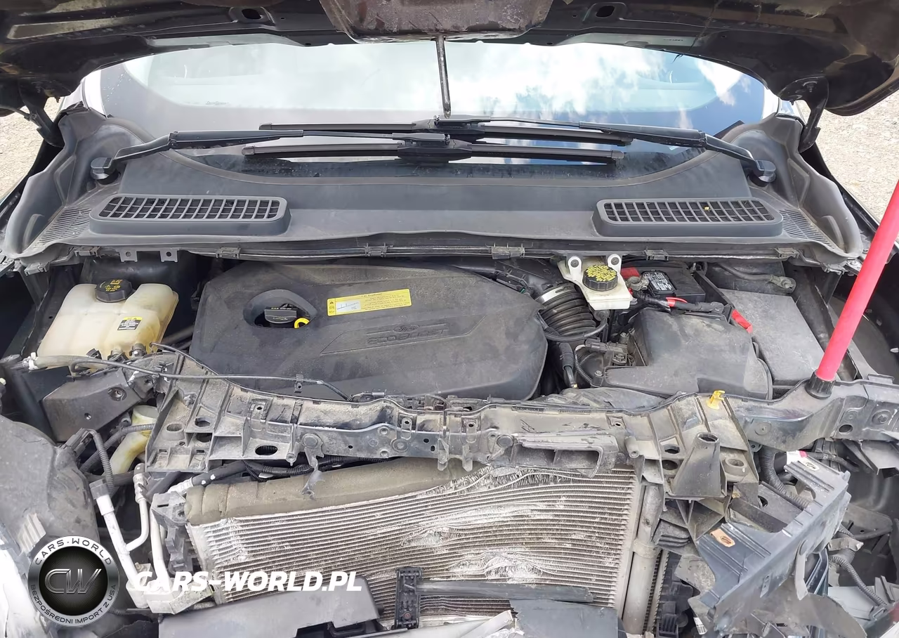2013 Ford Escape Sel VIN:1FMCU0HX3DUB57051 - 10