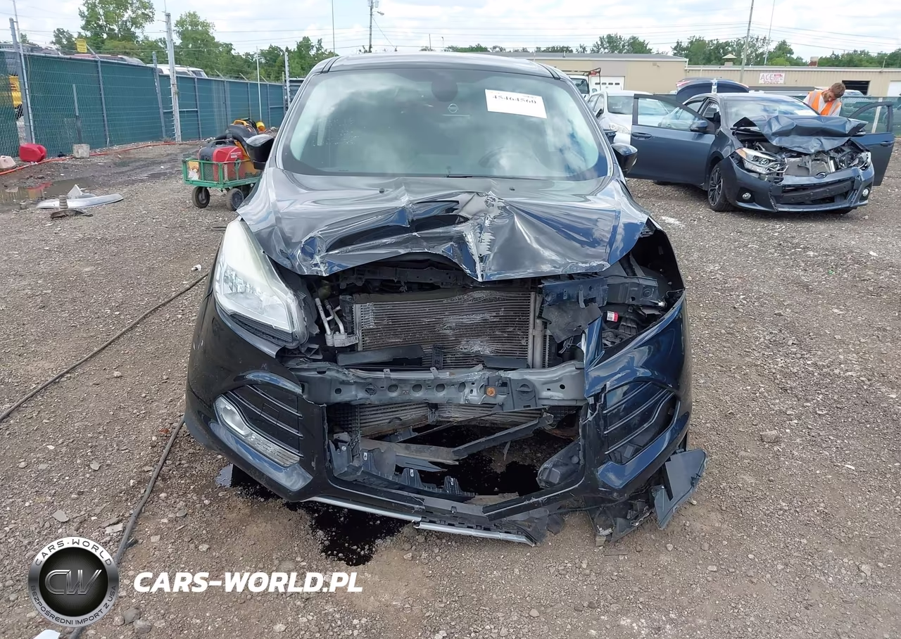 2013 Ford Escape Sel VIN:1FMCU0HX3DUB57051 - 12