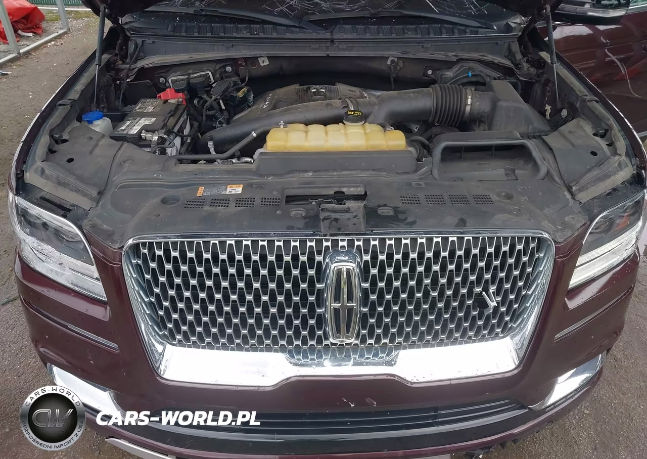 2019 Lincoln Navigator Black Label VIN:5LMJJ2TT8KEL10866 - 10