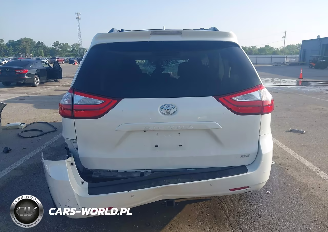 2019 Toyota Sienna Xle 8 Passenger VIN:5TDYZ3DC2KS993712 - 17