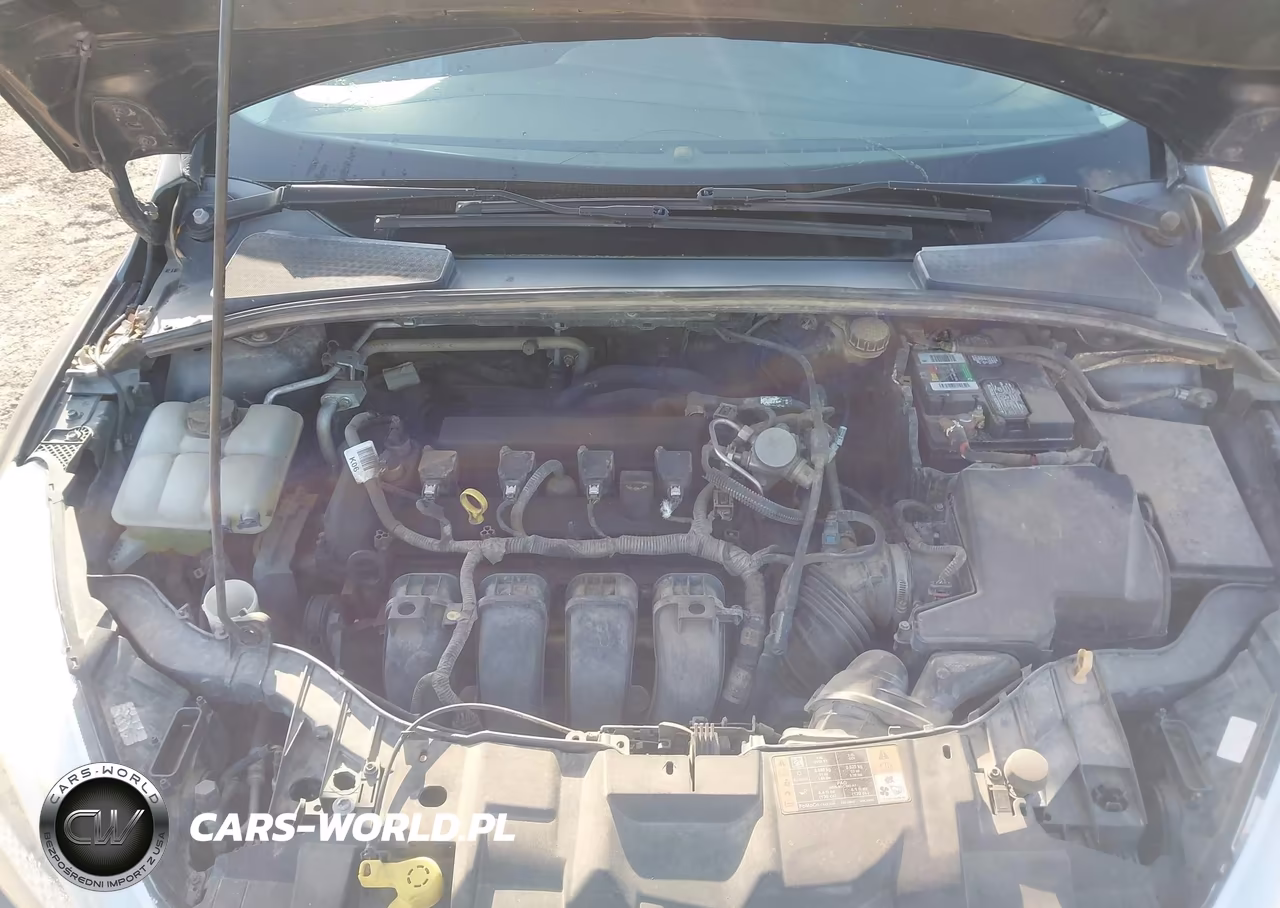 2016 Ford Focus Se VIN:1FADP3F21GL382898 - 10