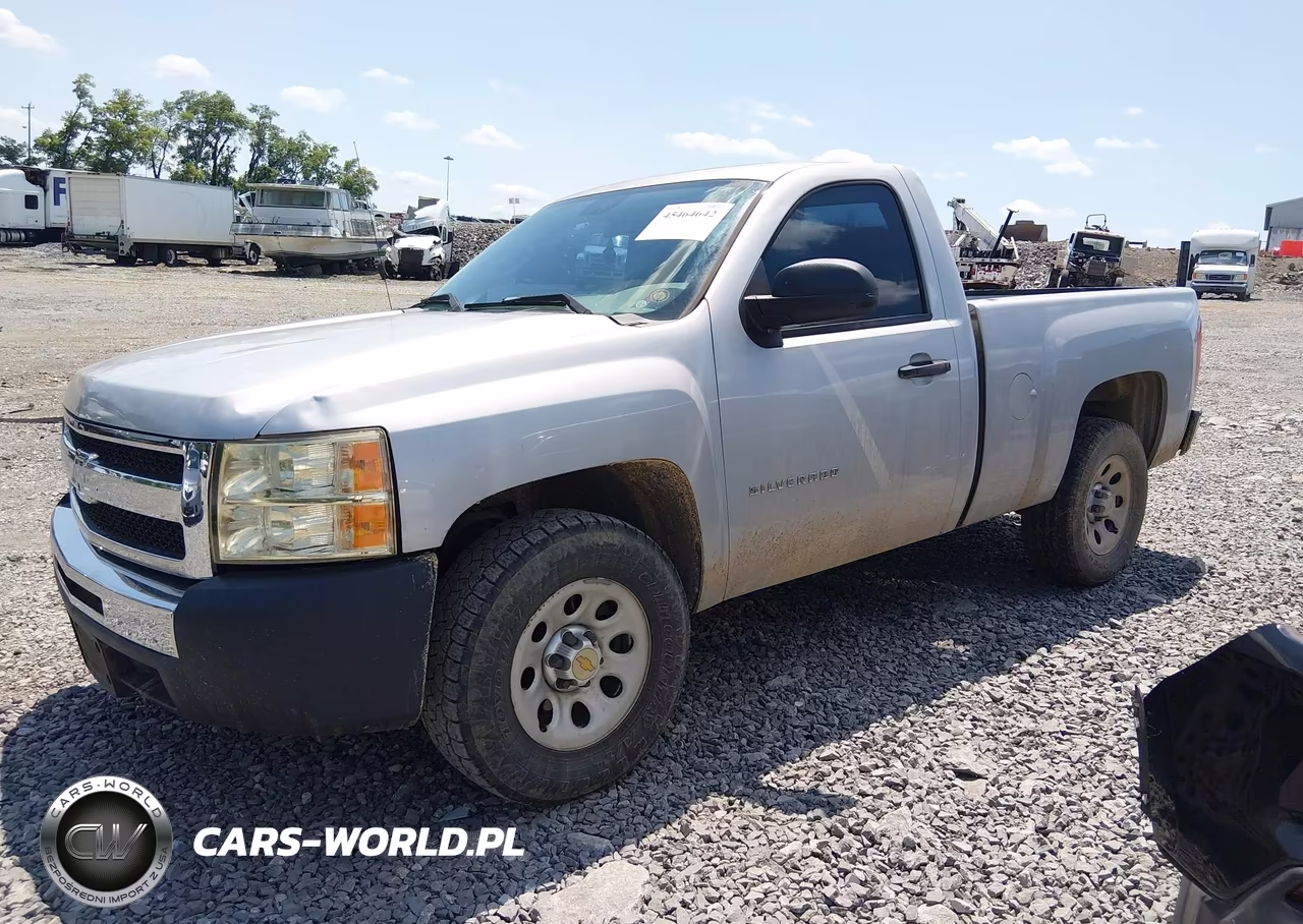 2010 Chevrolet Silverado 1500 Work Truck VIN:1GCPCPEX8AZ166767 - 2