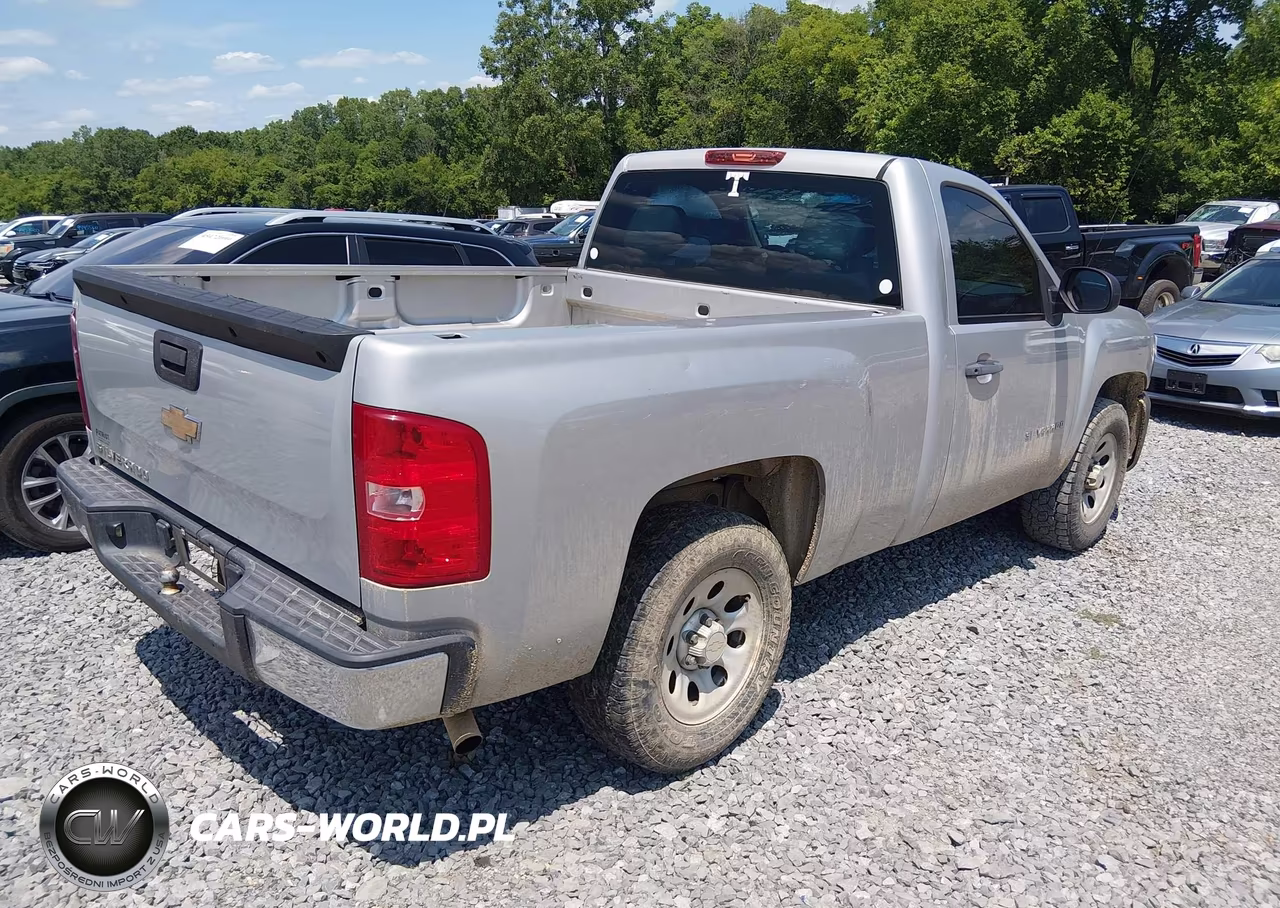 2010 Chevrolet Silverado 1500 Work Truck VIN:1GCPCPEX8AZ166767 - 4