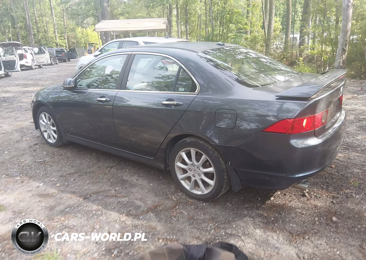 2006 Acura Tsx VIN:JH4CL96816C009673 - 3