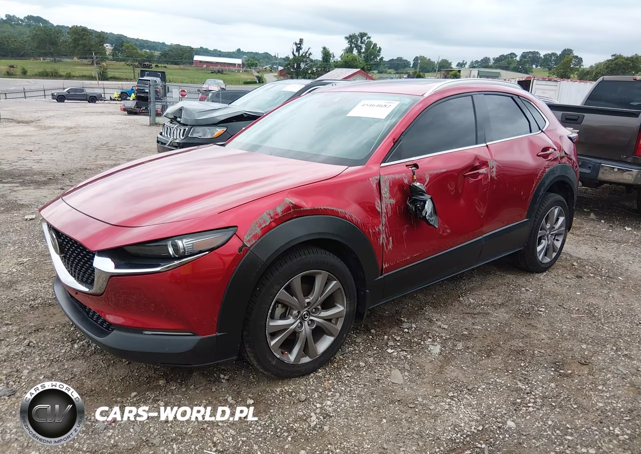 2020 Mazda Cx-30 Premium Package VIN:3MVDMBEM9LM131859 - 2