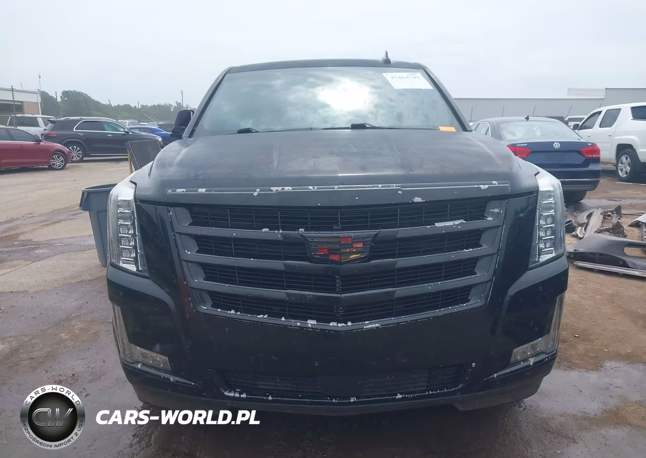 2015 Cadillac Escalade Esv Premium VIN:1GYS3TKJ8FR551380 - 13