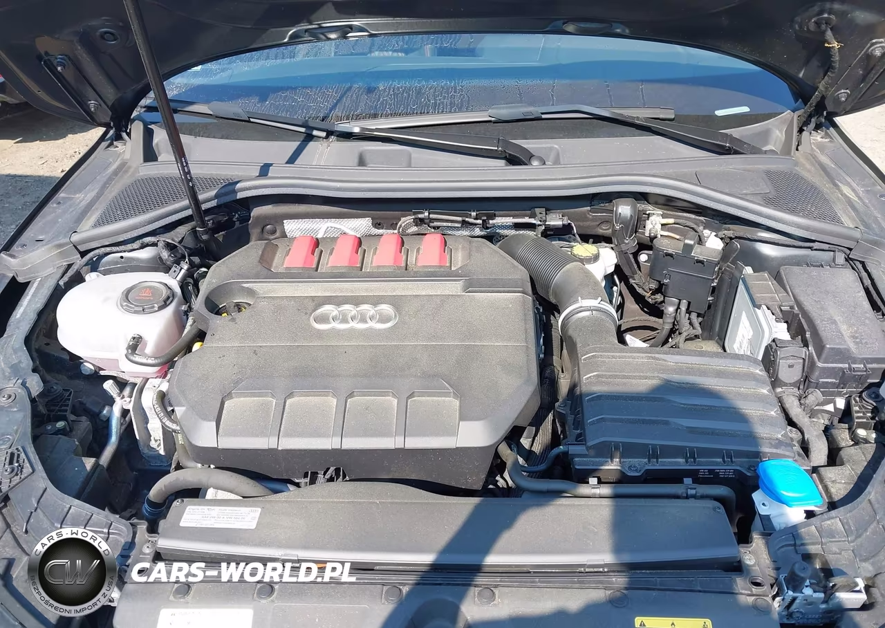 2024 Audi S3 Premium Plus Tfsi Quattro S Tronic VIN:WAUH3DGY9RA074003 - 10