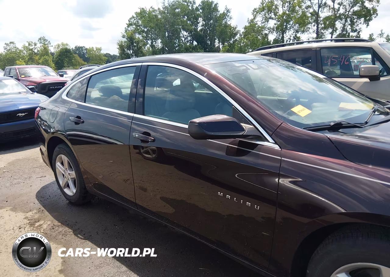 2020 Chevrolet Malibu Fwd 1Fl VIN:1G1ZC5ST4LF106531 - 13