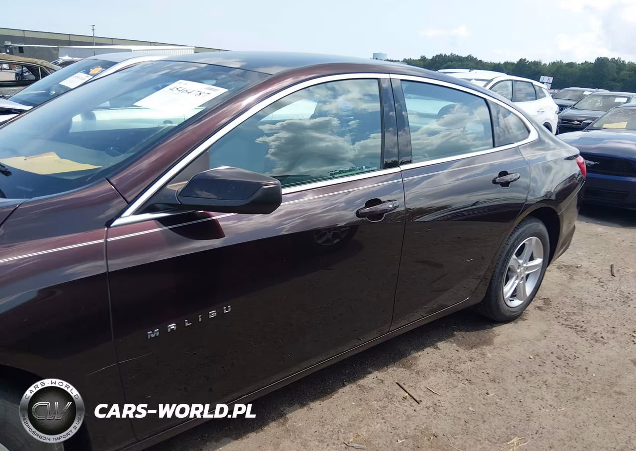 2020 Chevrolet Malibu Fwd 1Fl VIN:1G1ZC5ST4LF106531 - 14