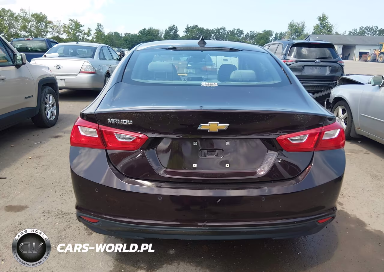 2020 Chevrolet Malibu Fwd 1Fl VIN:1G1ZC5ST4LF106531 - 16