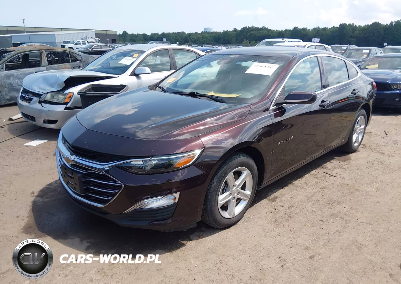 2020 Chevrolet Malibu Fwd 1Fl VIN:1G1ZC5ST4LF106531 - 2