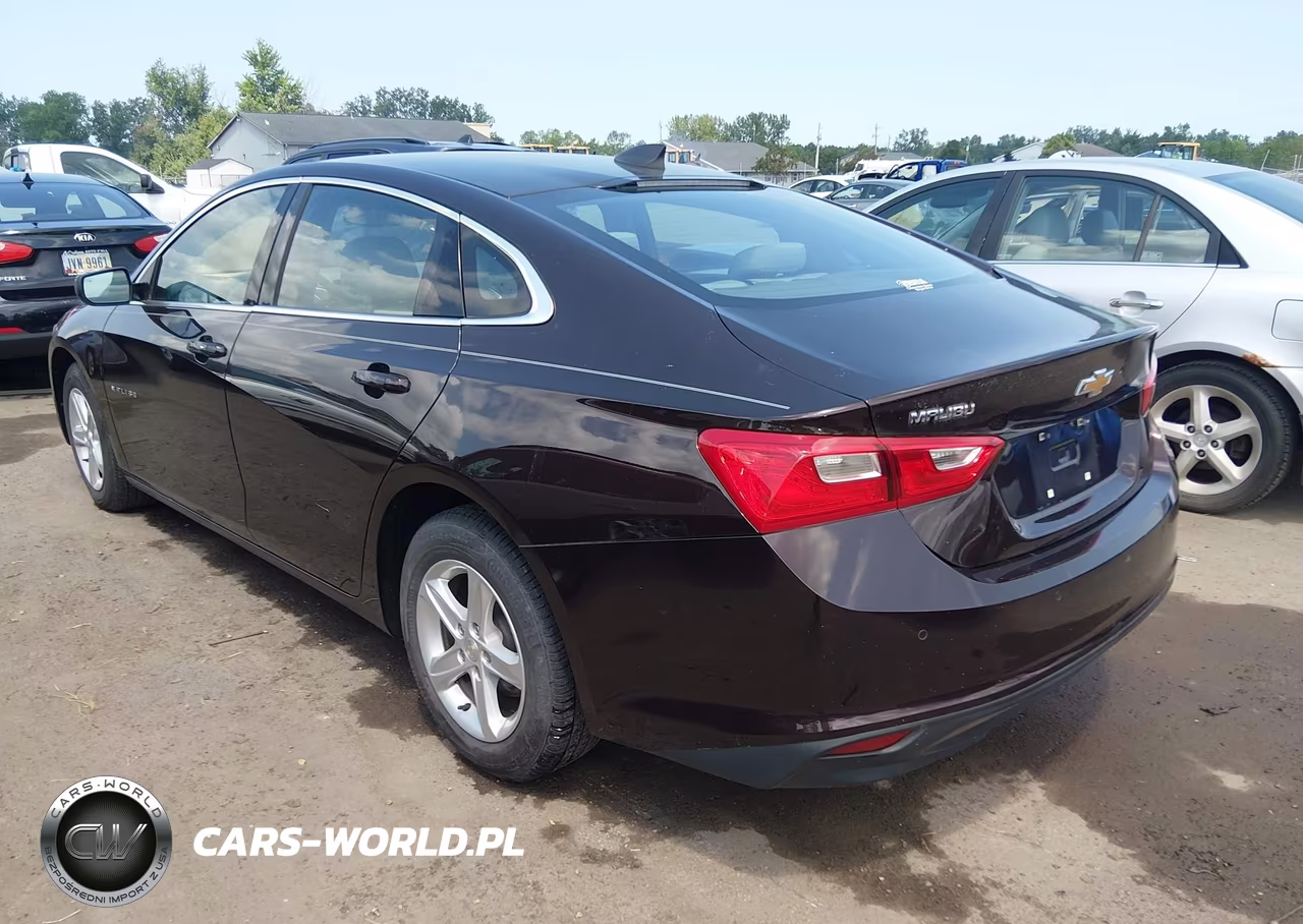 2020 Chevrolet Malibu Fwd 1Fl VIN:1G1ZC5ST4LF106531 - 3
