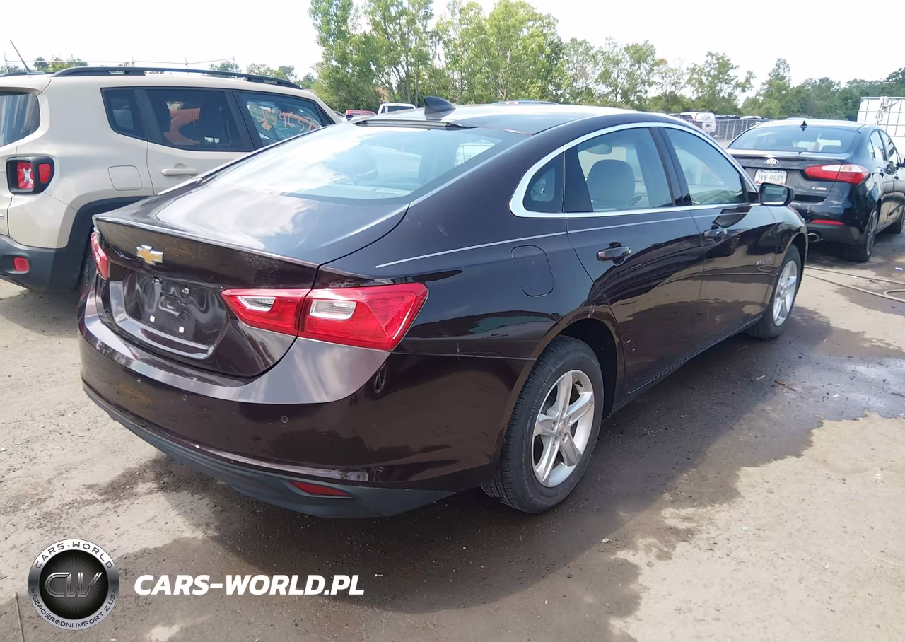 2020 Chevrolet Malibu Fwd 1Fl VIN:1G1ZC5ST4LF106531 - 4