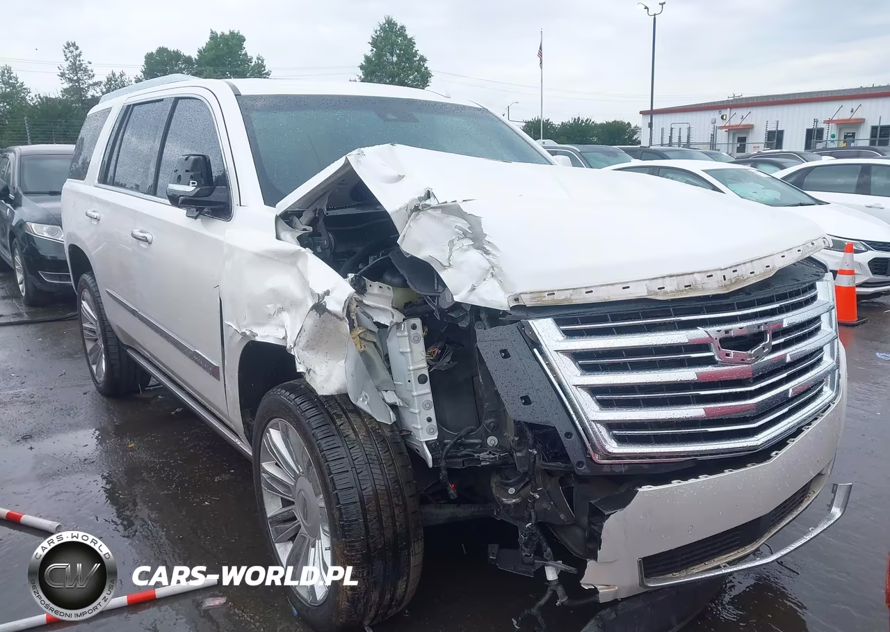 2017 Cadillac Escalade Platinum VIN:1GYS4DKJ1HR378629 - 12
