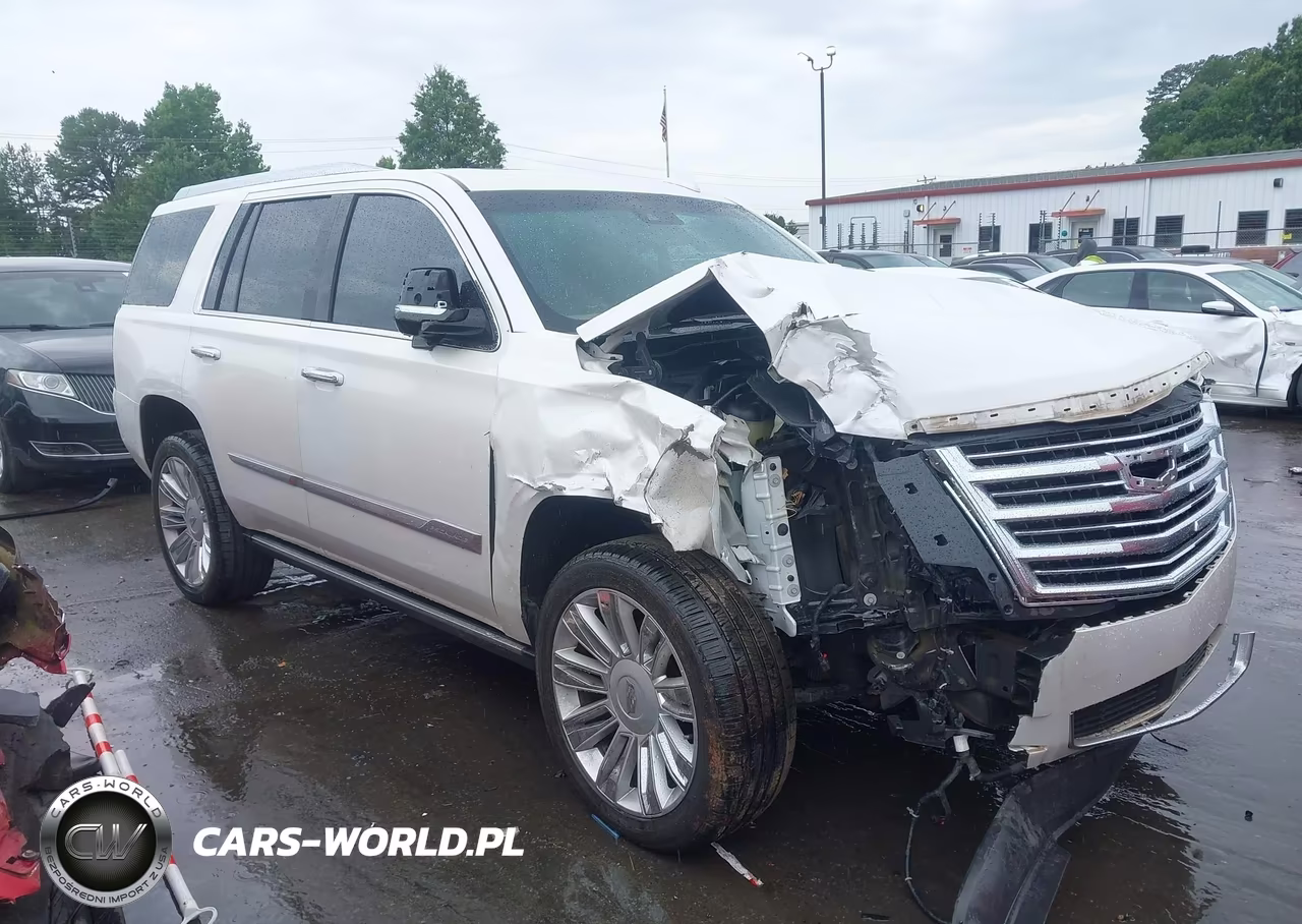 2017 Cadillac Escalade Platinum VIN:1GYS4DKJ1HR378629 - 13