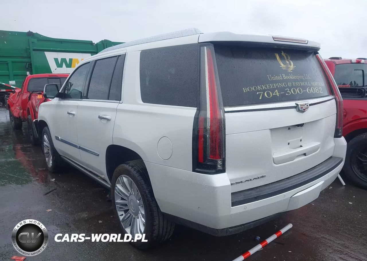 2017 Cadillac Escalade Platinum VIN:1GYS4DKJ1HR378629 - 14