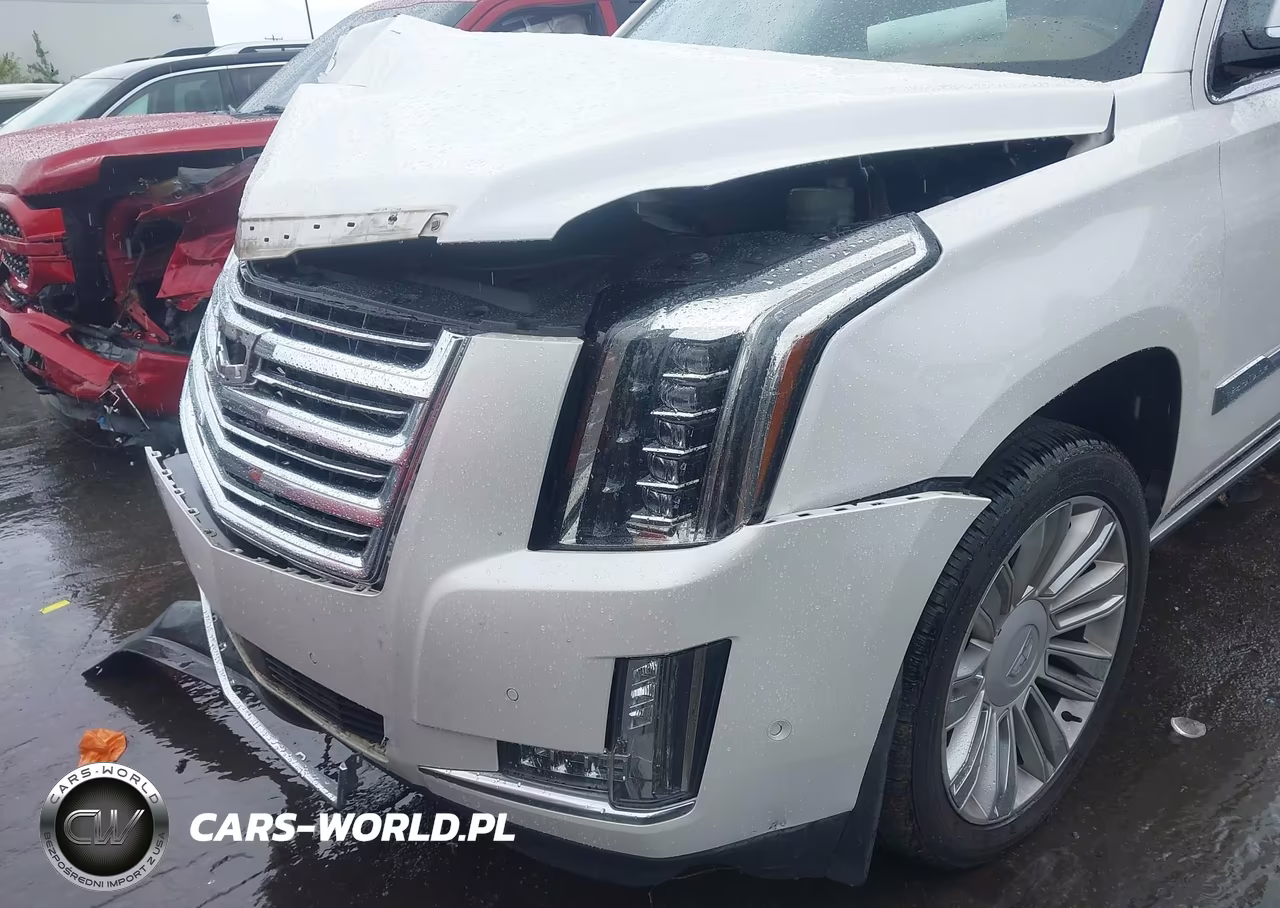 2017 Cadillac Escalade Platinum VIN:1GYS4DKJ1HR378629 - 17