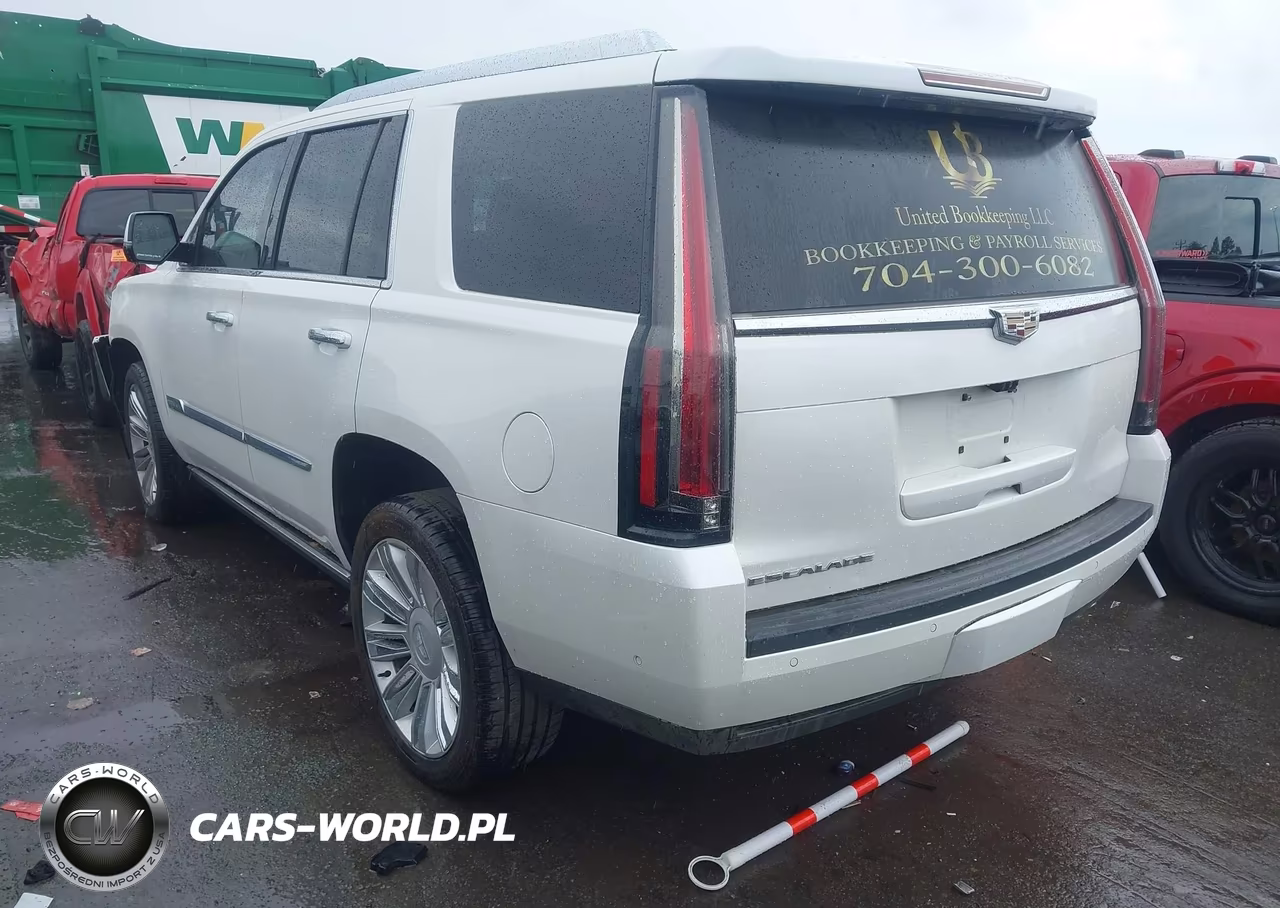 2017 Cadillac Escalade Platinum VIN:1GYS4DKJ1HR378629 - 3