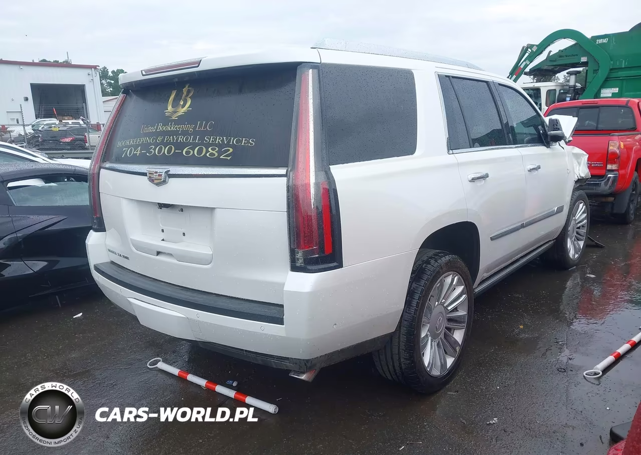 2017 Cadillac Escalade Platinum VIN:1GYS4DKJ1HR378629 - 4