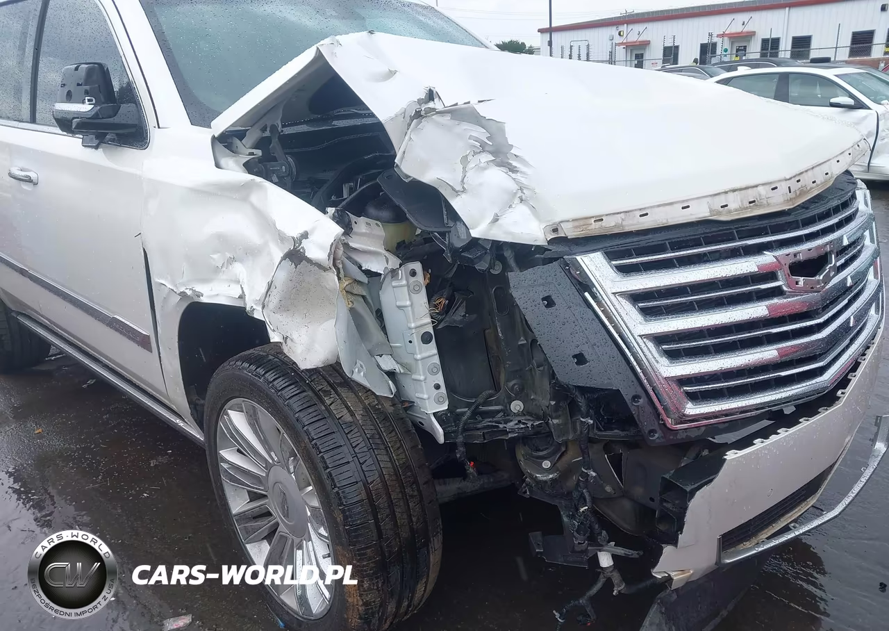 2017 Cadillac Escalade Platinum VIN:1GYS4DKJ1HR378629 - 6