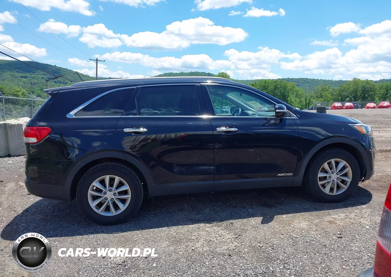 2017 Kia Sorento 3.3L Lx VIN:5XYPGDA53HG280658 - 13