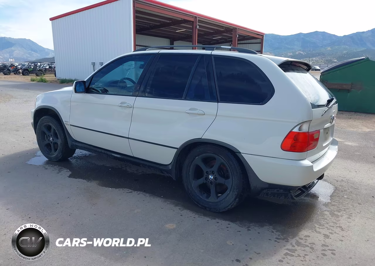 2001 BMW X5 3.0 VIN:WBAFA53551LM89987 - 3