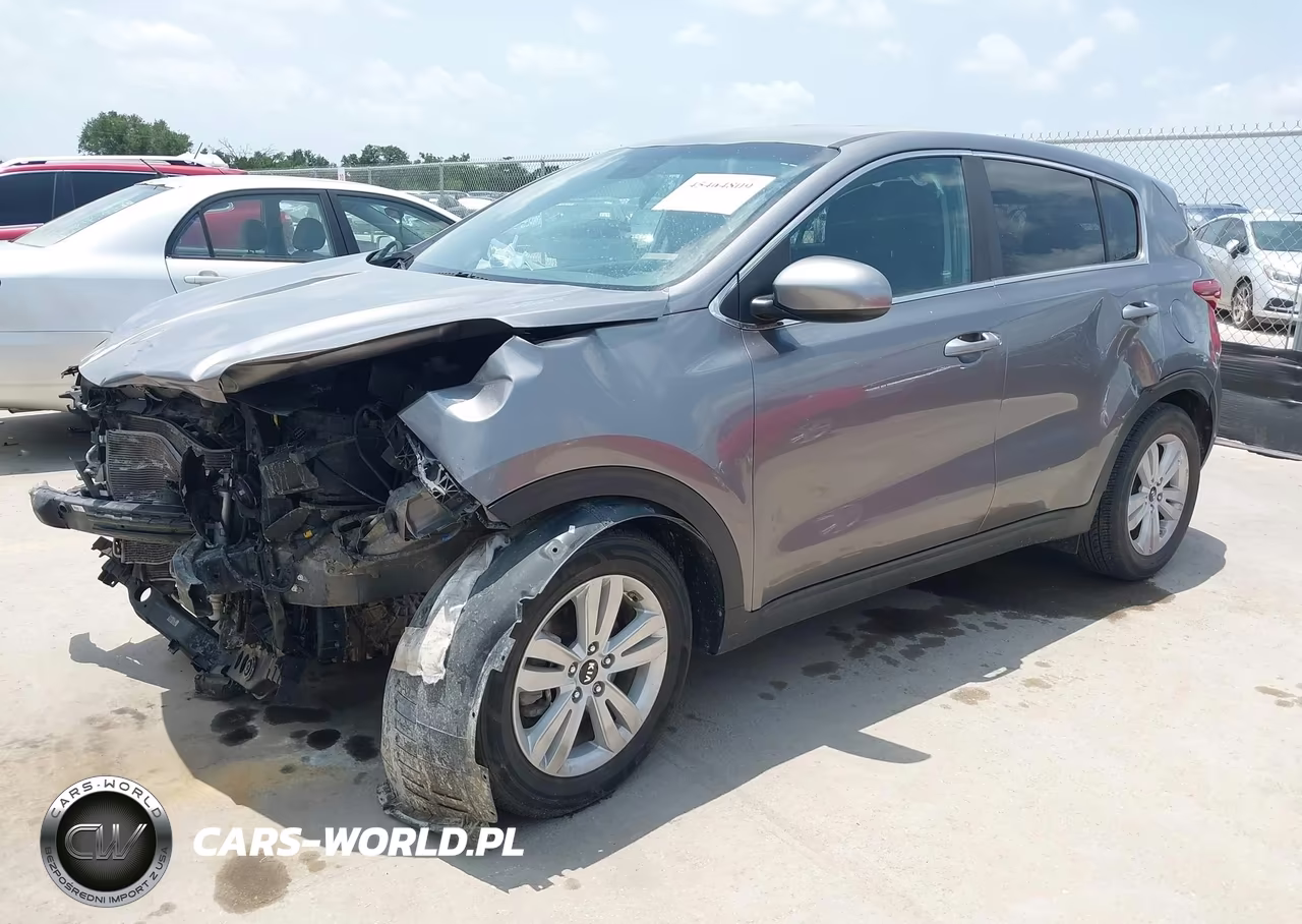 2017 Kia Sportage Lx VIN:KNDPM3AC9H7220138 - 2