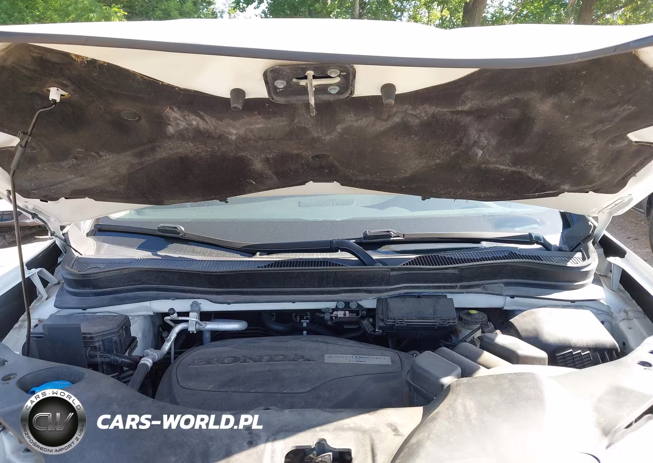 2019 Honda Pilot Elite VIN:5FNYF6H07KB001241 - 10