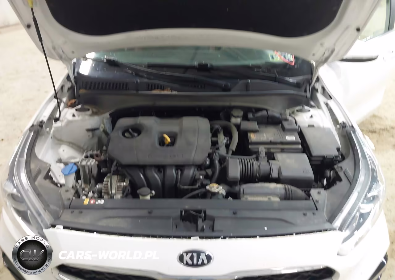 2019 Kia Forte Ex VIN:3KPF54AD6KE029209 - 10