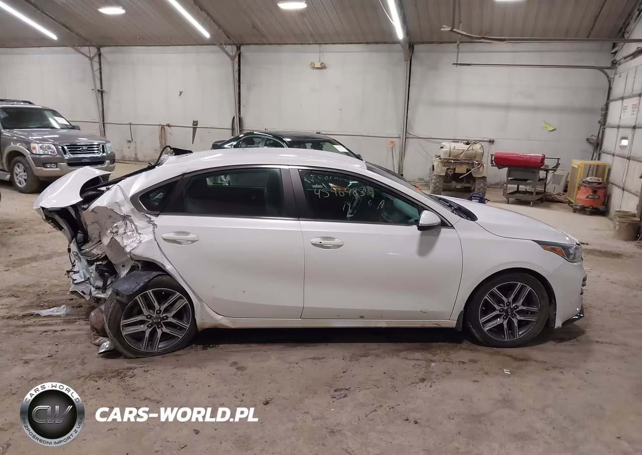 2019 Kia Forte Ex VIN:3KPF54AD6KE029209 - 12