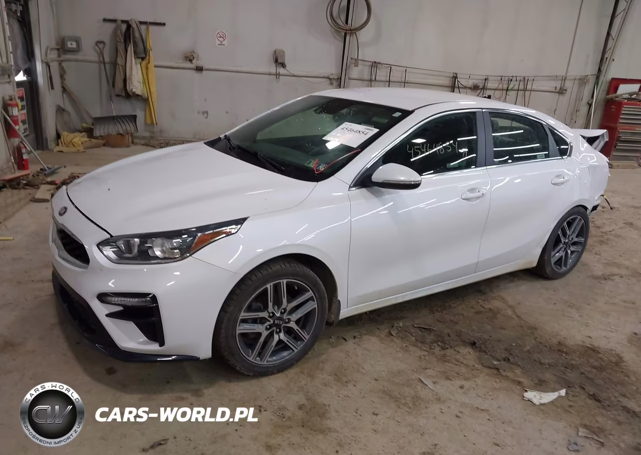 2019 Kia Forte Ex VIN:3KPF54AD6KE029209 - 2