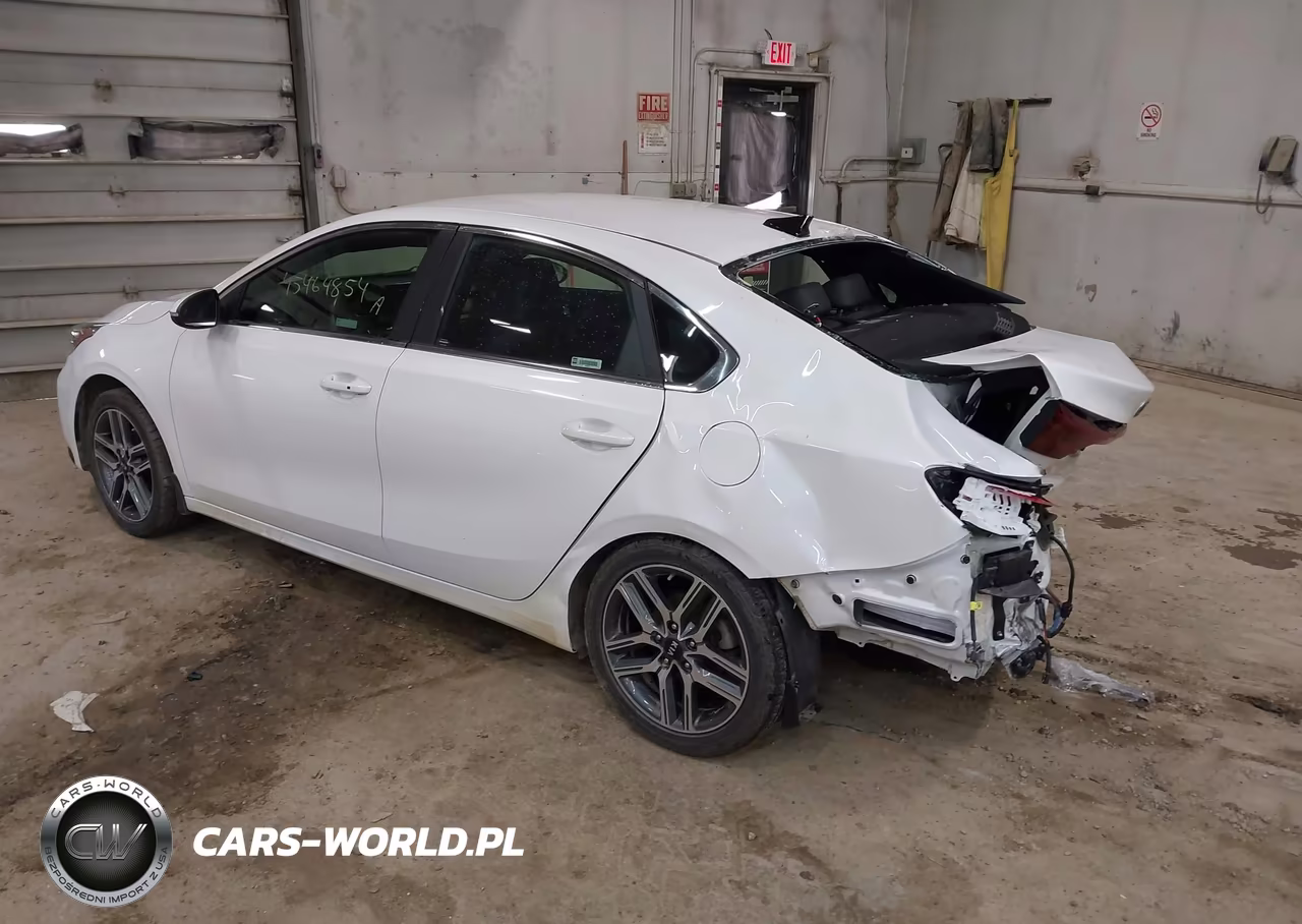2019 Kia Forte Ex VIN:3KPF54AD6KE029209 - 3