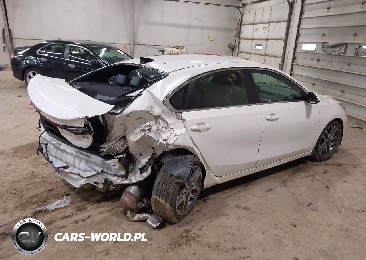 2019 Kia Forte Ex VIN:3KPF54AD6KE029209 - 4