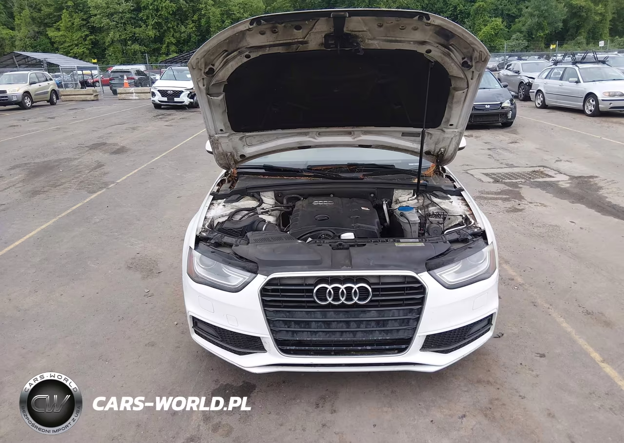 2016 Audi A4 Premium Plus VIN:WAUEFAFL3GN008065 - 10