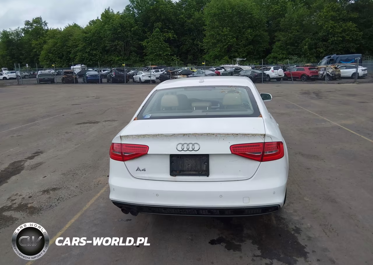 2016 Audi A4 Premium Plus VIN:WAUEFAFL3GN008065 - 16