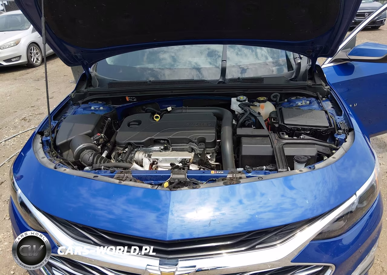 2023 Chevrolet Malibu Fwd 1Lt VIN:1G1ZD5ST8PF225363 - 10